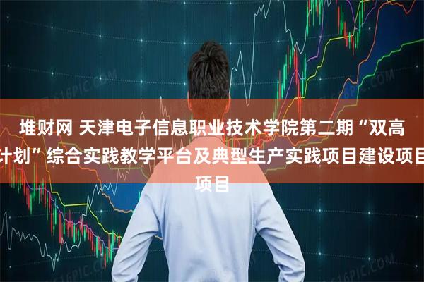 堆财网 天津电子信息职业技术学院第二期“双高计划”综合实践教学平台及典型生产实践项目建设项目