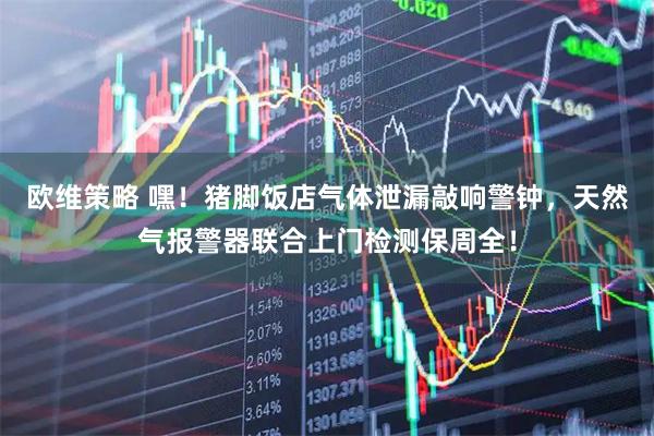 欧维策略 嘿！猪脚饭店气体泄漏敲响警钟，天然气报警器联合上门检测保周全！